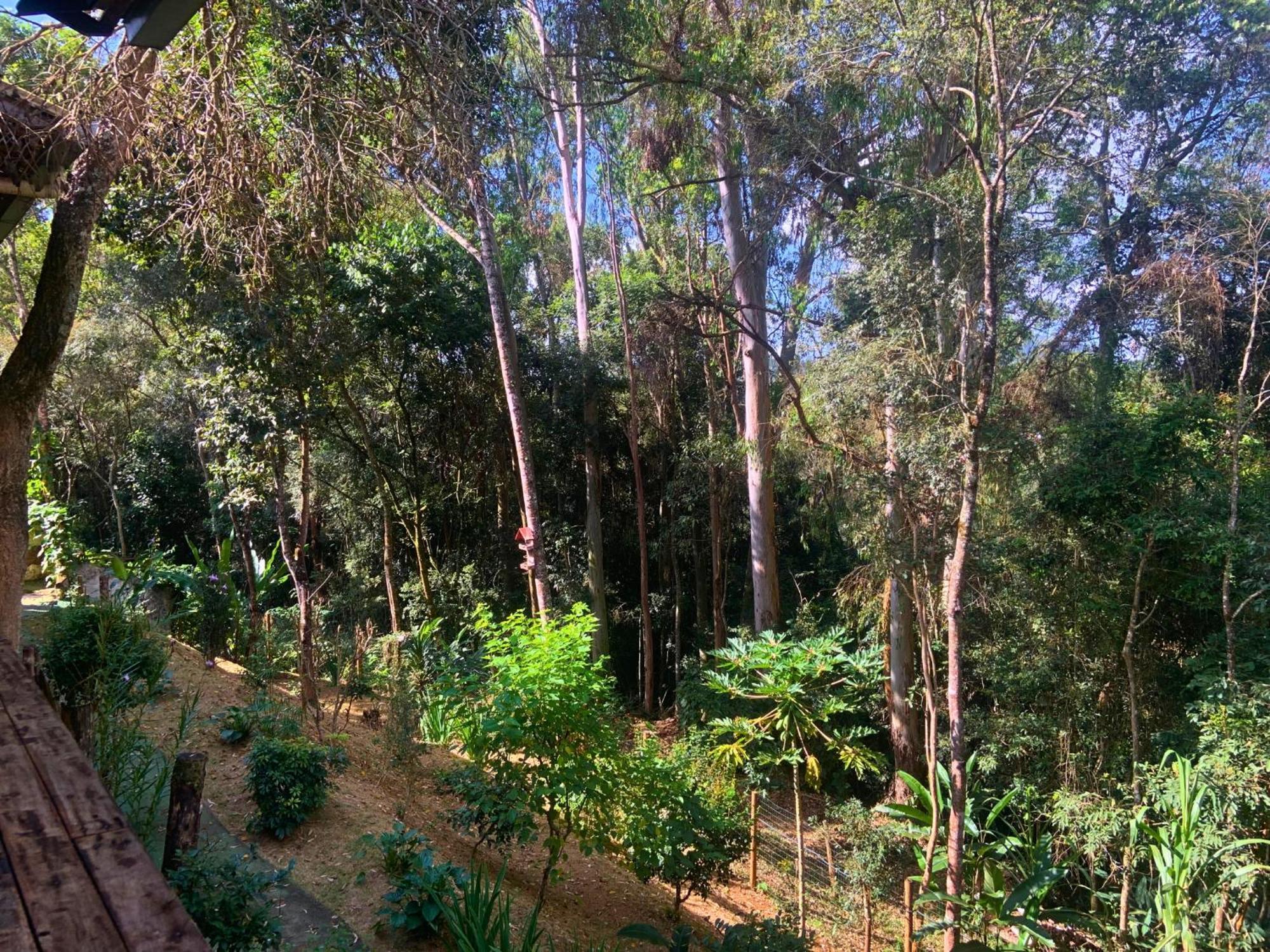 Pousada E Restaurante Casinha Velha Hotel มากากอส ภายนอก รูปภาพ